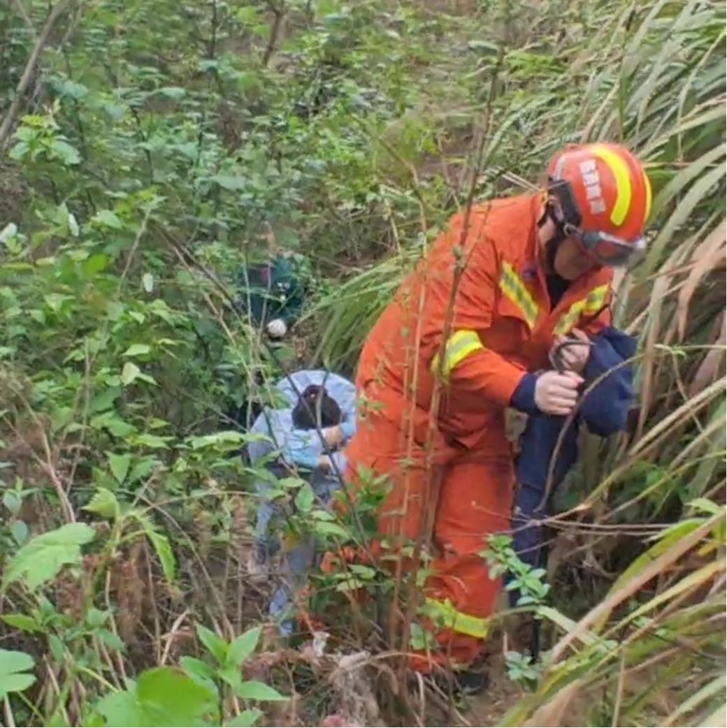 1681182601565494.jpg 1681182601565494.jpg