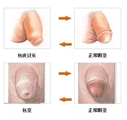 1689124627467394.png 6.png